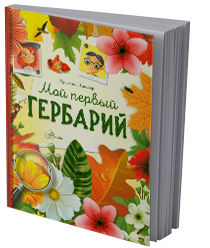 Мой первый гербарий