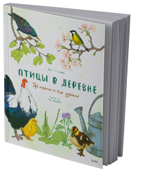 Птицы в деревне