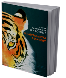 Самые удивительные животные в&nbsp;натуральную величину