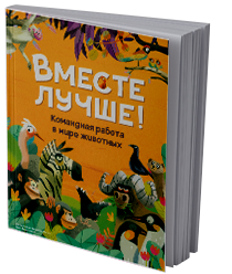 Вместе лучше!